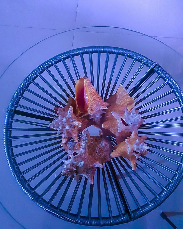 Hostal Gabo 부카라망가 외부 사진